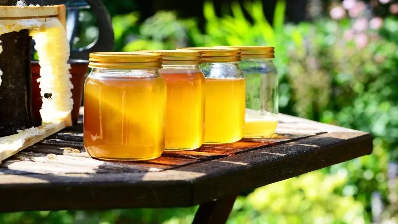 Varios botes de miel en una foto de archivo.