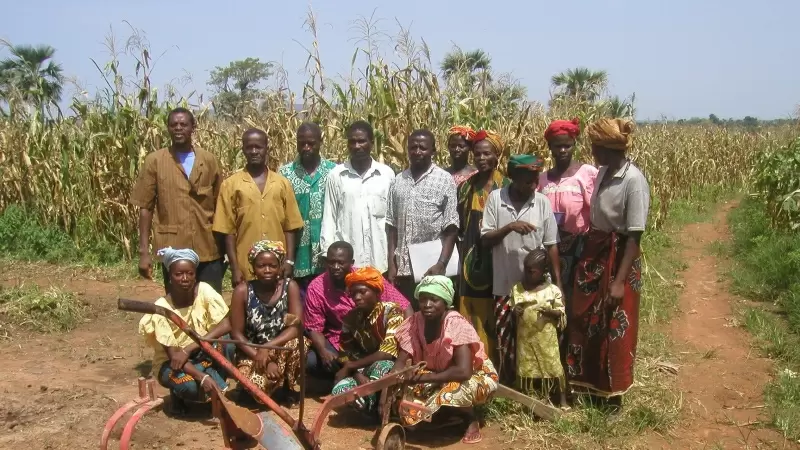 Grupo de agricultores en Tarfila, Burkina Faso, uno de los países que participan en la creación de muralla verde espontánea que recorre el Sahel.
