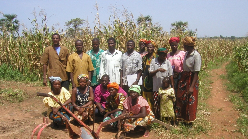 Grupo de agricultores en Tarfila, Burkina Faso, uno de los países que participan en la creación de muralla verde espontánea que recorre el Sahel.