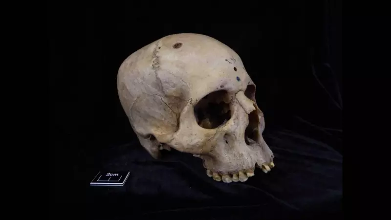 Cráneo y la mandíbula 236, datados entre 2687 y 2345 a.C., pertenecían a un individuo masculino de entre 30 y 35 años.