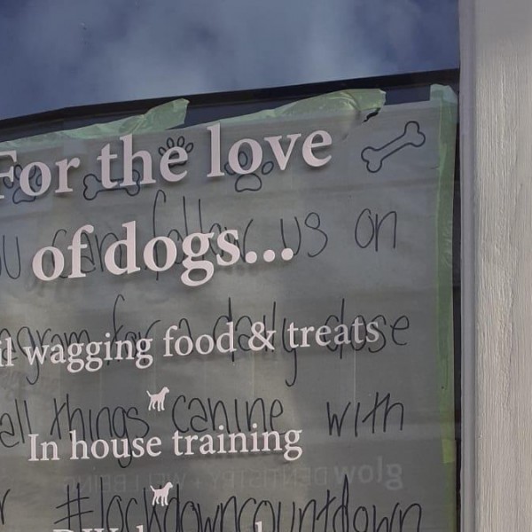 Una cafetería para perros en Londres.