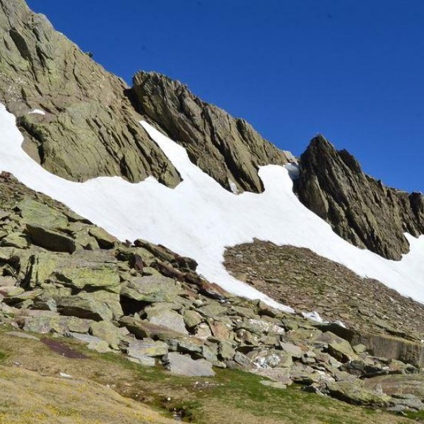 Pico de Lobo