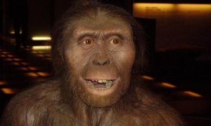 Reconstrucción de Lucy, la australopithecus afarensis.