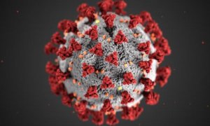 ¿Por qué resulta tan complicado frenar al coronavirus?