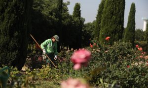 Una jardinera trabaja en el Real Jardín Botánico Juan Carlos I de la Universidad de Alcalá,