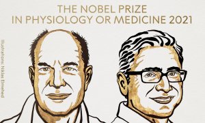 David Julius y Ardem Patapoutian, ganadores de Nobel de Medicina
