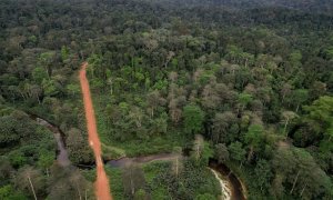 Una vista aérea muestra un camino forestal que atraviesa la selva tropical en la provincia de Nyanga, Gabón, el 14 de octubre de 2021.