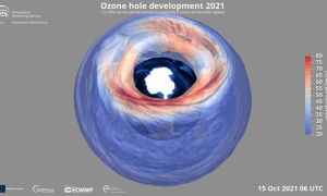 Previsión De La Columna Total De Ozono Para El Lunes 20 De Diciembre Según Las Mediciones Del CAMS.