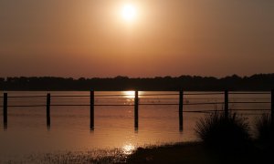Ecologismo de emergencia - Desecación de las marismas de Doñana. Los estragos que el gobierno andaluz prepara para el privilegiado espacio