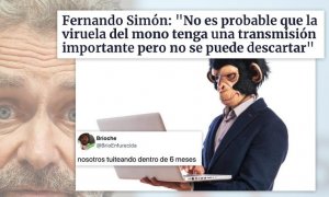 Fernando Simón da su opinión sobre la viruela del mono y los tuiteros se temen lo peor: "Ha sido un placer conoceros"