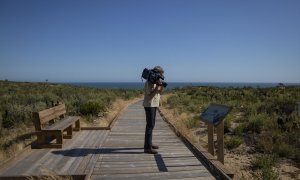 Nueva pasarela de Cuesta Maneli en el Espacio Natural de Doñana. (Almonte, Huelva, Andalucía, España), a 09 de junio de 2020.