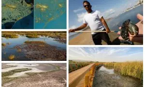 El Delta del Ebro, el Mar Menor, La Albufera, Doñana o Las Tablas de Daimiel son algunos de los ecosistemas emblemáticos de España que se encuentran amenazados y con problemas ecológicos.