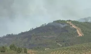 El incendio forestal de Pinofranqueado, en Cáceres, amenaza varios nucleos de población