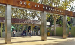 Zoo de Barcelona./BARCELONA.CAT