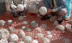 Huevos fosilizados encontrados en la India en 2007. EFE