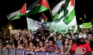 Banderes palestines durant el concert de Matisyahu al Rototom.