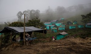 Cabañas de plástico en las que viven los guerrilleros desmovilizados de las FARC en la zona veredal de La Fila, en la región de Tolima.- JAIRO VARGAS