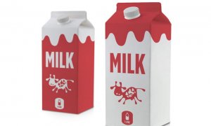 cartones leche