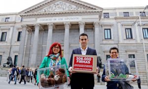 Miguel Ángel Hurtado junto a Gloria Viseras (ex-gimnasta olímpica) y Vicki Benadet (presidenta fundación del mismo nombre) en la entrega de 306.000 firmas en 2016 en el Congreso. Desde entonces consiguieron 100.000 más.