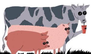 En 2016 había en la UE 89 millones de cabezas bovinas, 147 millones de cerdos y 87 millones de ovejas. / ILUSTRACIÓN: CINTA ARRIBAS (SINC)