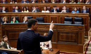 El presidente del Gobierno, Pedro Sánchez, durante la primera sesión de control al Gobierno en el Congreso del nuevo curso político. EFE//Mariscal