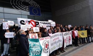 Representantes del medio centenar de entidades que han presentado la queja contra la ganadería industrial ante la UE se manifestaron ante el Parlamento Europeo.