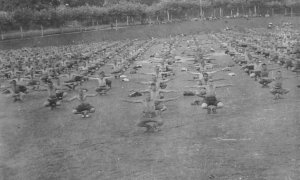 Prisioneros del campo de concentración instalado en las caballerizas del Palacio de La Magdalena (Santander) haciendo gimnasia. La sesión fue preparada para tomar fotografías de cara a un reportaje elaborado por el servicio de propaganda franquista.- BIBL