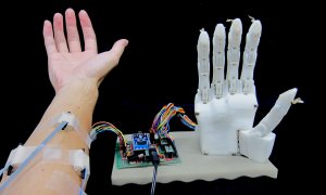 Imagen de la mano robótica.  [Furui et al., Sci. Robot.]