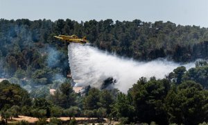 Un hidroavió treballa en les tasques d'extinció de l'incendi de la Ribera d'Ebre. EFE / Mario Gascón.