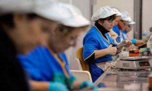 mujeres trabajadoras