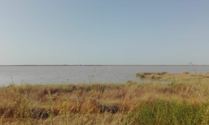 Terreno sobre el que se construirá macroproyecto,situado junto al río Guadalquivir y frente a Doñana | Ecologistas en Acción