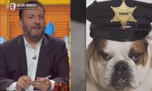 Extracto del 'sketch' en el que se ve al presentador Toni Soler, y uno de los perros relacionados con la polémica. / YouTube