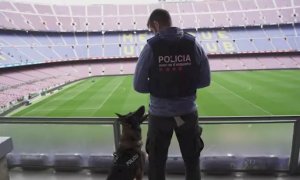 La unidad canina de los Mossos d'Esquadra en el Camp Nou - MOSSOS D'ESQUADRA