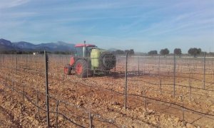 Los ‘agricultores de sofá’ ya duplican a los que sí trabajan la tierra. / Europa Press