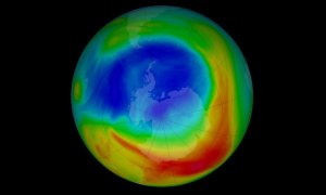 El agujero de la capa de ozono durante su máxima extensión de 2019, el 8 de septiembre./ NASA