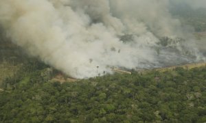 Estudio culpa a la deforestación de los incendios en el Amazonas