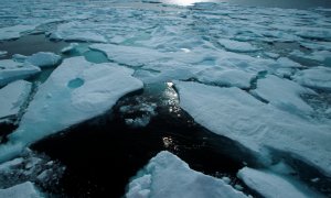 Hielo en verano en aguas del ártico canadiense. / WWF