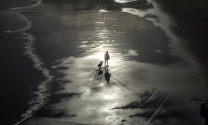 28/01/2020.- Un hombre pasea con su perro por la playa del Sardinero en Cantabria, este martes. Se esperan lluvias débiles y dispersas así como pocos cambios en temperaturas, excepto las máximas en Cantabria del Ebro donde ascenderán. Viento de component