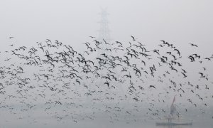 Imagen del cielo contaminado en India. REUTERS/Anushree Fadnavis/File Photo