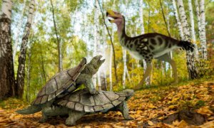 Reconstrucción de dos tortugas Laurasichersis relicta, junto a un Ave del Terror, en un ambiente húmedo que caracterizó el hemisferio norte hace 66 millones de años. / José Antonio Peñas (SINC)