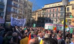 Agricultores y ganaderos se manifiestan contra el Gobierno