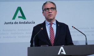 Elías Bendodo, consejero andaluz de Presidencia.