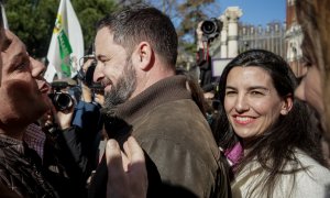 El presidente de VOX, Santiago Abascal y la portavoz de VOX en la Asamblea de Madrid, Rocío Monasterio, asisten a la manifestación de agricultores y ganaderos, frente al Ministerio de Agricultura de Madrid. EP