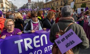 Unas 8.000 personas de unas 150 asociaciones de mujeres de Andalucía han participado hoy domingo en una marcha que ha recorrido el centro de Sevilla. EFE