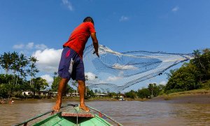 25/09/19- La pesca es una de las principales ocupaciones para la población de la región de Bailique, en el estado brasileño de Amapá, en la desembocadura del río Amazonas. DIEGO BARAVELLI/ GREENPEACE