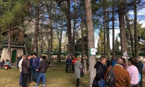 Movilizaciones en Jardinillos de Palencia para evitar la tala de árboles. TWITTER