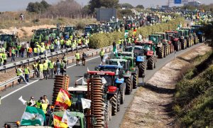 25/02/2020.- La 'tractorada' de agricultores y ganaderos, que cortan la carretera A-4 a la altura de la localidad sevillana de Carmona. EFE/José Manuel Vidal