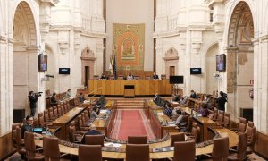 Pleno de la Diputación Permanente del Parlamento de Andalucía. Europa Press