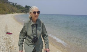 La primatóloga Jane Goodall  EUROPA PRESS/ Archivo