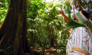 Fotografía cedida por la Asociación Interétnica de Desarrollo de la Selva Peruana (AIDESEP) que muestra a un indígena del pueblo Shipibo que utiliza una mascarilla hecha de hojas, en la provincia de Uyacalí, departamento de Loreto (Perú). / EFE